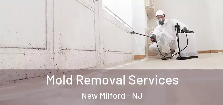 Mold Removal Services New Milford - NJ