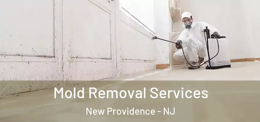 Mold Removal Services New Providence - NJ