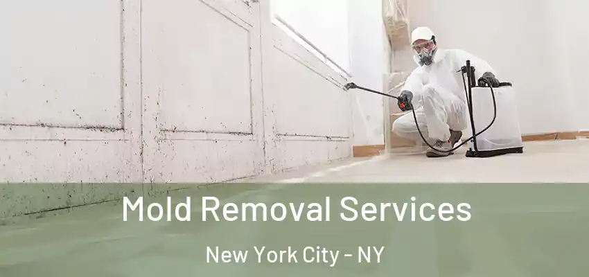  Mold Removal Services New York City - NY