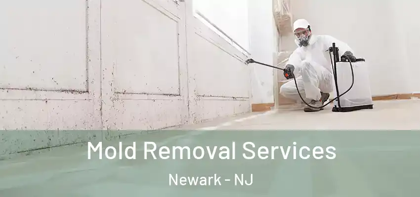  Mold Removal Services Newark - NJ