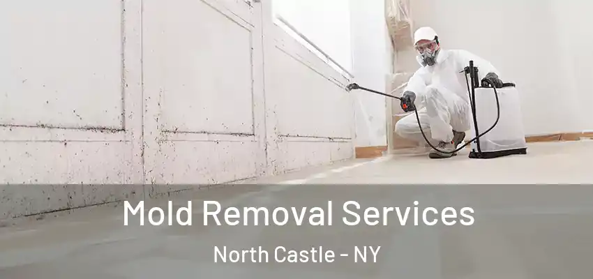  Mold Removal Services North Castle - NY