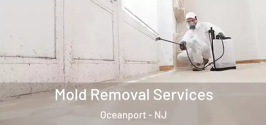 Mold Removal Services Oceanport - NJ
