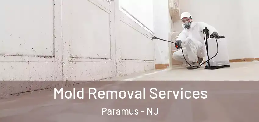 Mold Removal Services Paramus - NJ