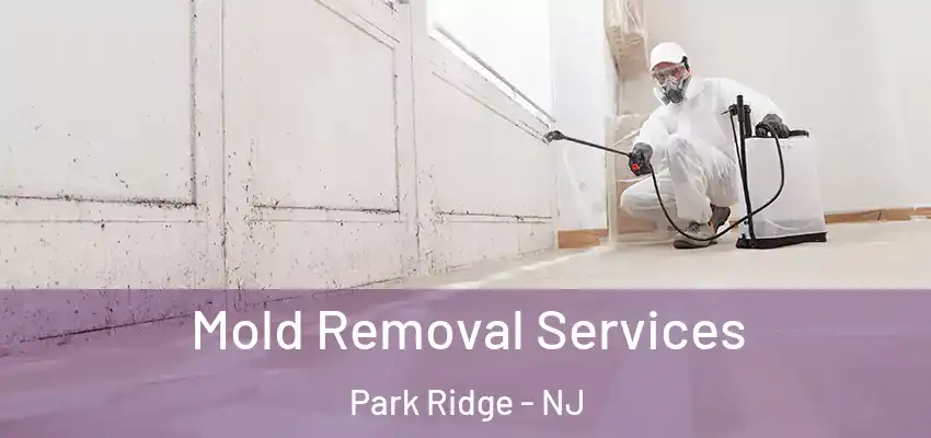  Mold Removal Services Park Ridge - NJ