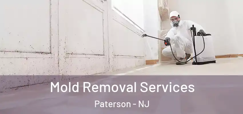 Mold Removal Services Paterson - NJ
