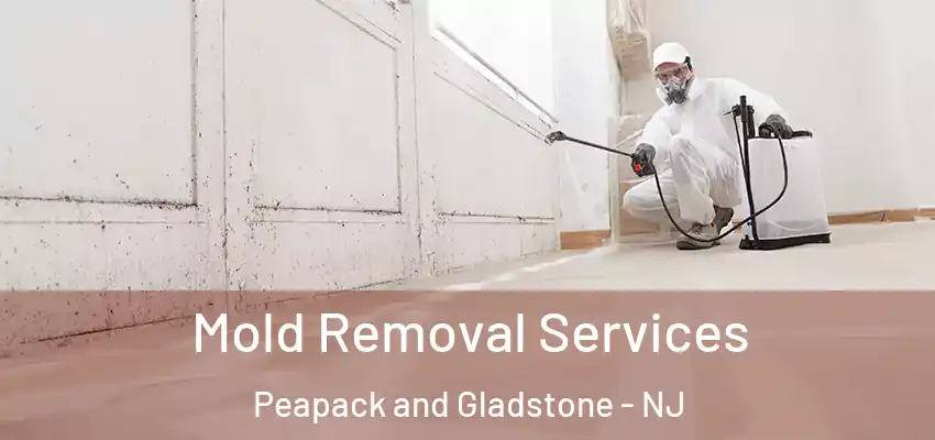  Mold Removal Services Peapack and Gladstone - NJ
