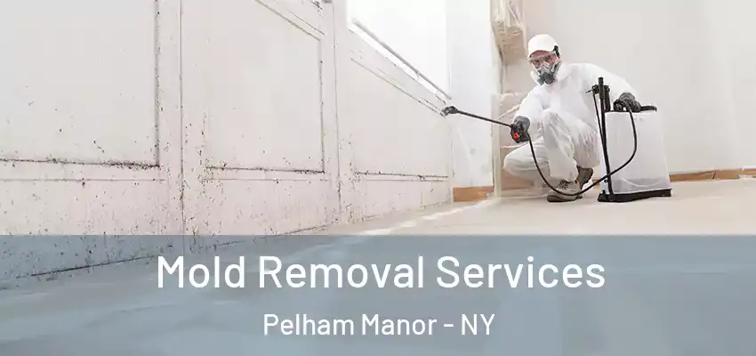 Mold Removal Services Pelham Manor - NY