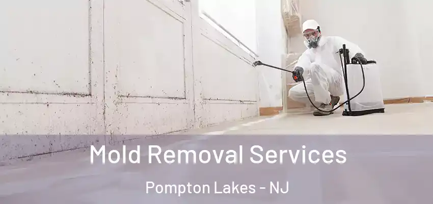  Mold Removal Services Pompton Lakes - NJ