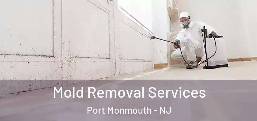 Mold Removal Services Port Monmouth - NJ