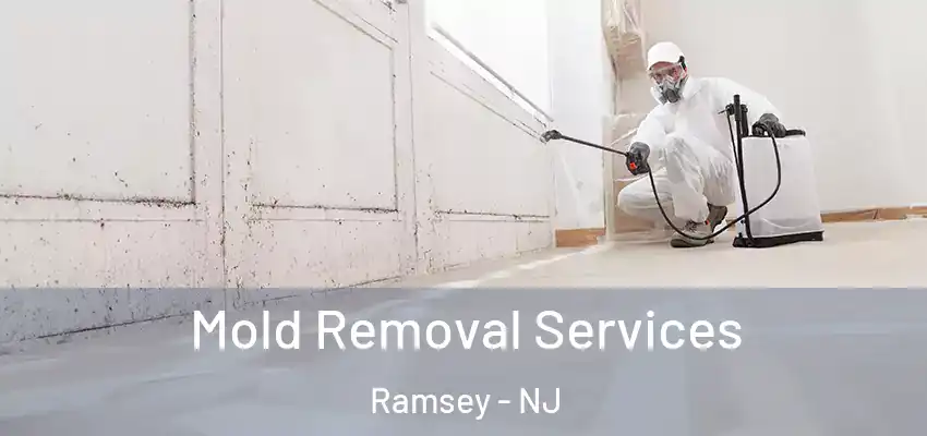  Mold Removal Services Ramsey - NJ
