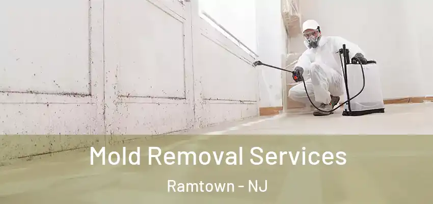  Mold Removal Services Ramtown - NJ