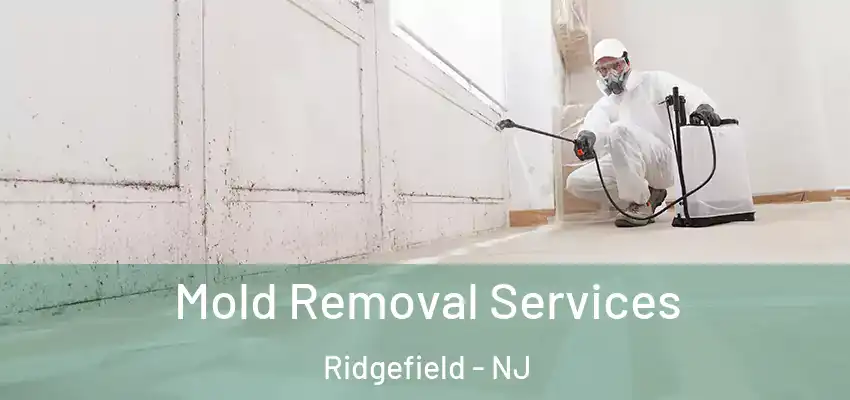 Mold Removal Services Ridgefield - NJ