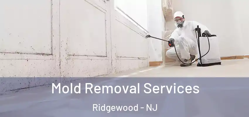  Mold Removal Services Ridgewood - NJ