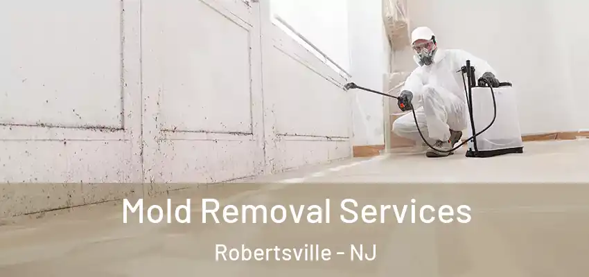  Mold Removal Services Robertsville - NJ