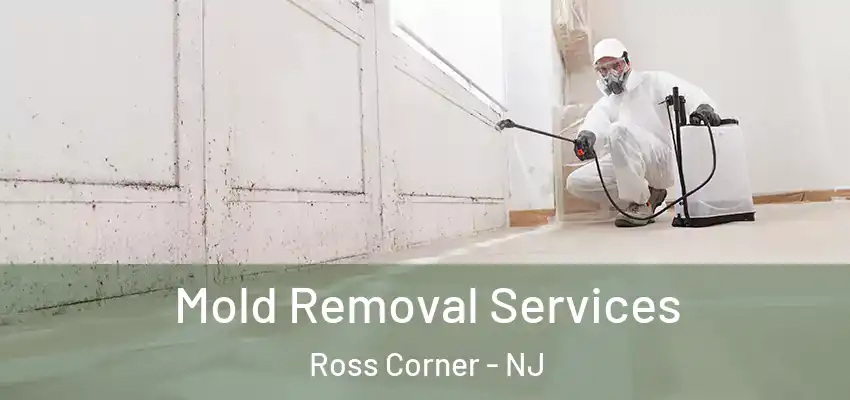  Mold Removal Services Ross Corner - NJ