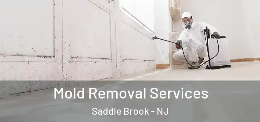  Mold Removal Services Saddle Brook - NJ
