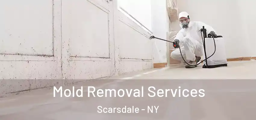 Mold Removal Services Scarsdale - NY
