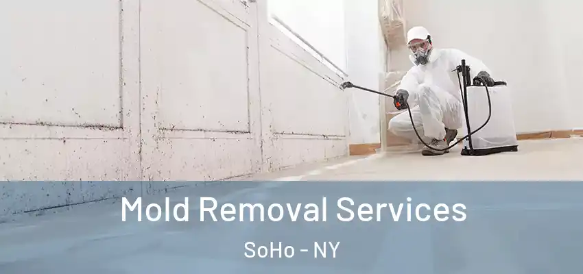 Mold Removal Services SoHo - NY