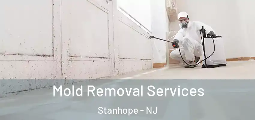 Mold Removal Services Stanhope - NJ