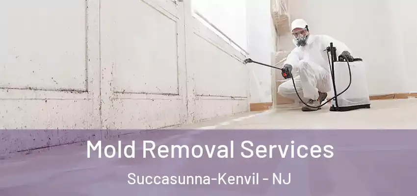  Mold Removal Services Succasunna-Kenvil - NJ