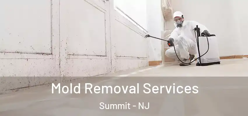Mold Removal Services Summit - NJ