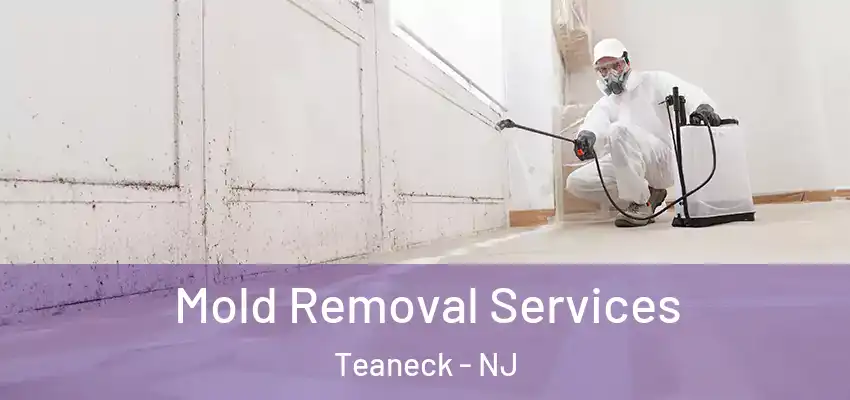 Mold Removal Services Teaneck - NJ