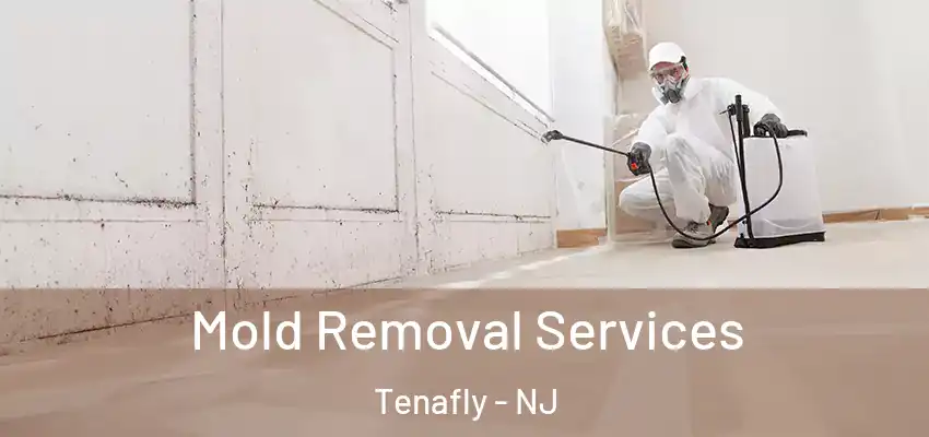  Mold Removal Services Tenafly - NJ