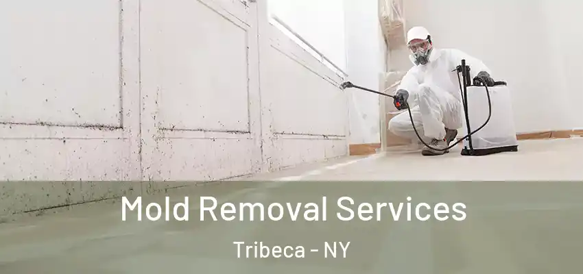 Mold Removal Services Tribeca - NY