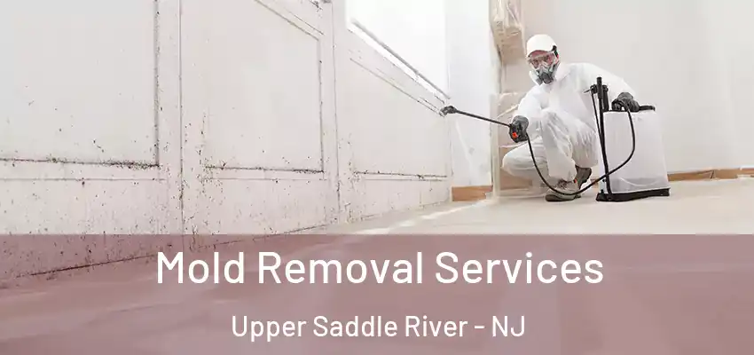  Mold Removal Services Upper Saddle River - NJ