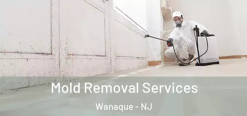 Mold Removal Services Wanaque - NJ