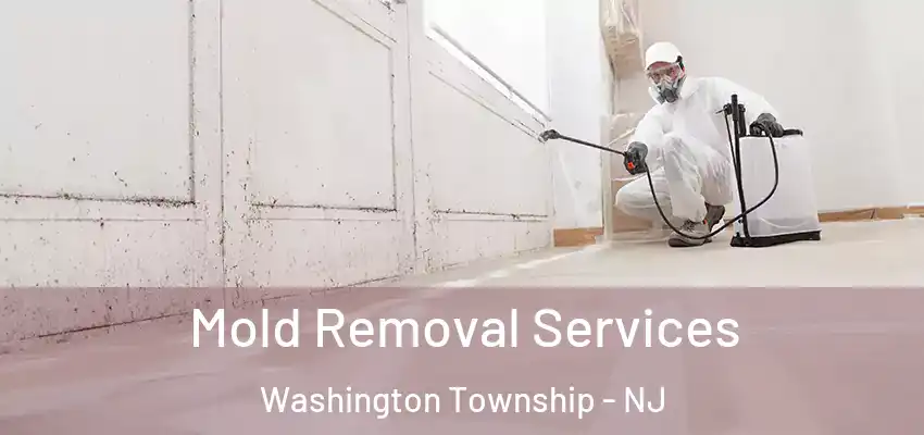 Mold Removal Services Washington Township - NJ