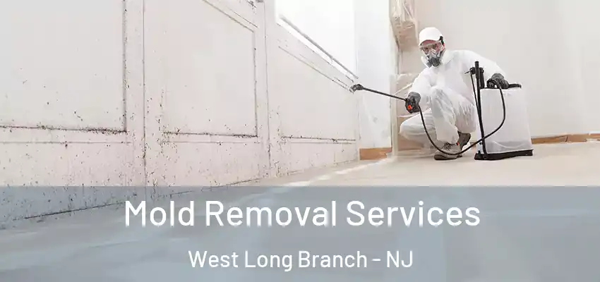  Mold Removal Services West Long Branch - NJ