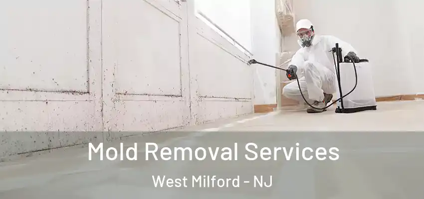 Mold Removal Services West Milford - NJ