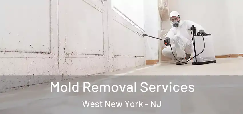 Mold Removal Services West New York - NJ