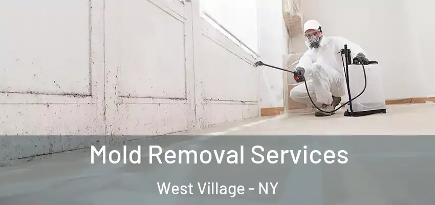 Mold Removal Services West Village - NY
