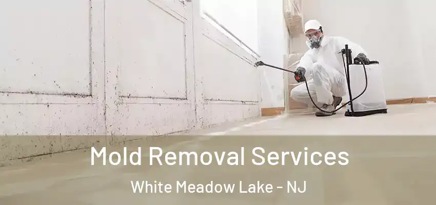 Mold Removal Services White Meadow Lake - NJ