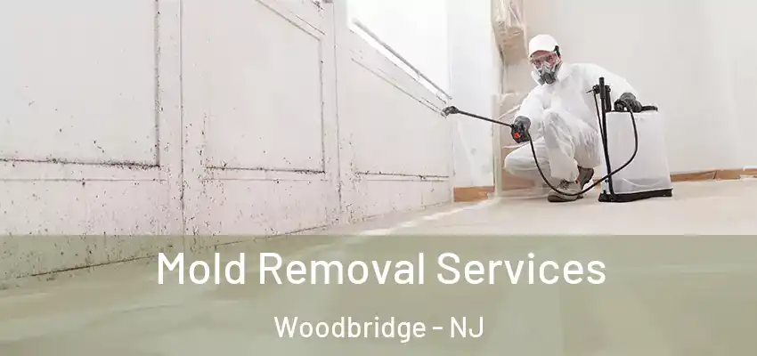  Mold Removal Services Woodbridge - NJ