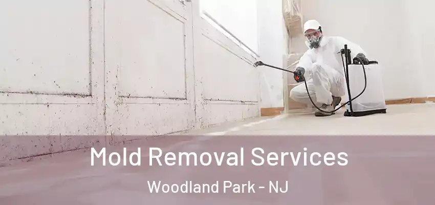 Mold Removal Services Woodland Park - NJ