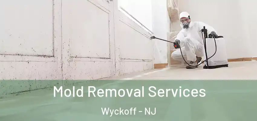  Mold Removal Services Wyckoff - NJ