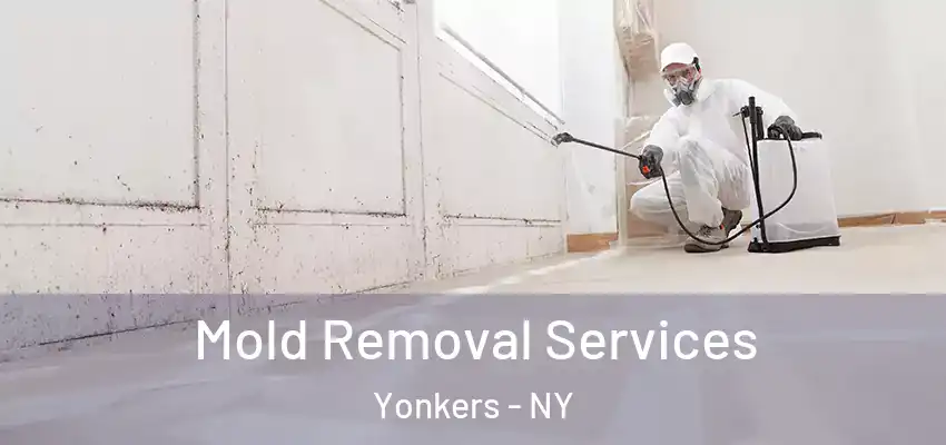 Mold Removal Services Yonkers - NY