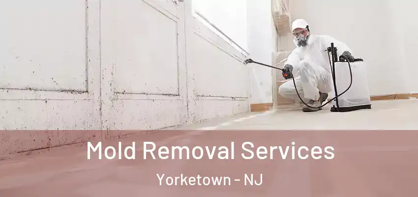 Mold Removal Services Yorketown - NJ