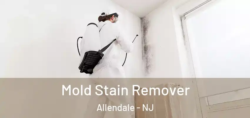  Mold Stain Remover Allendale - NJ
