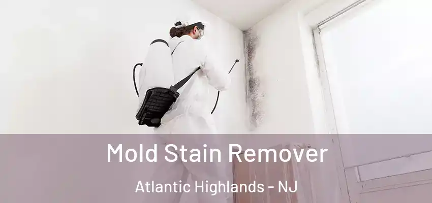 Mold Stain Remover Atlantic Highlands - NJ