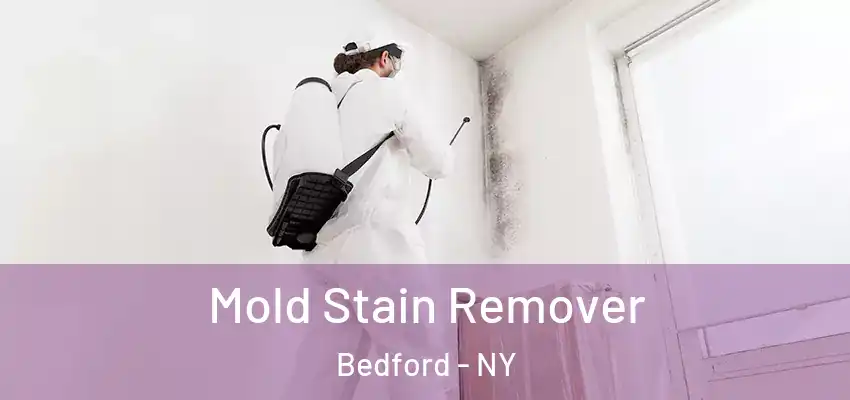 Mold Stain Remover Bedford - NY