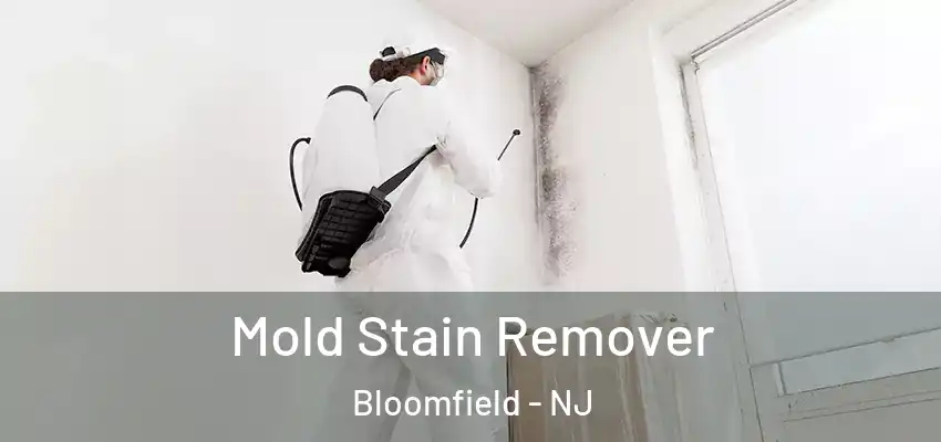 Mold Stain Remover Bloomfield - NJ