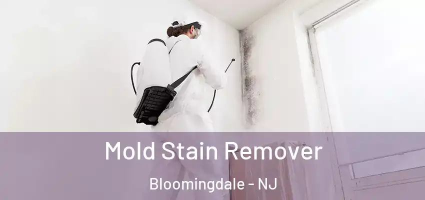  Mold Stain Remover Bloomingdale - NJ