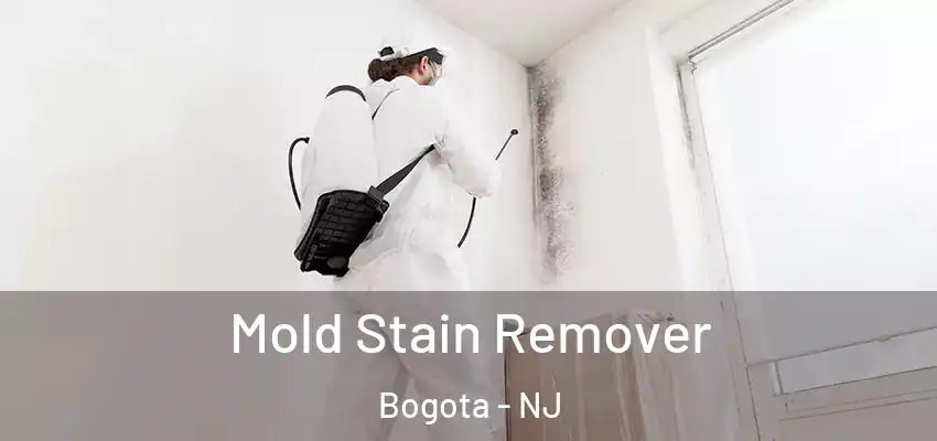 Mold Stain Remover Bogota - NJ