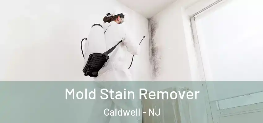Mold Stain Remover Caldwell - NJ