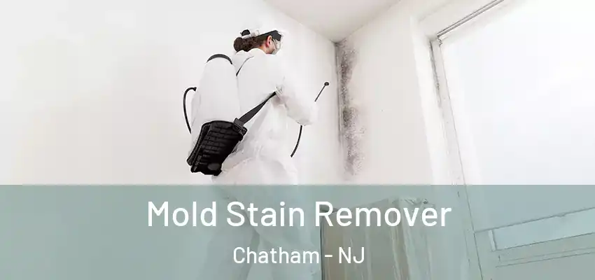 Mold Stain Remover Chatham - NJ