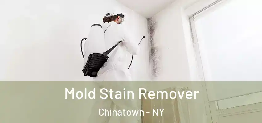 Mold Stain Remover Chinatown - NY